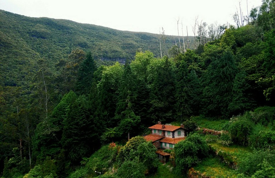 picturesque house on mountain side at forest in summer landscape