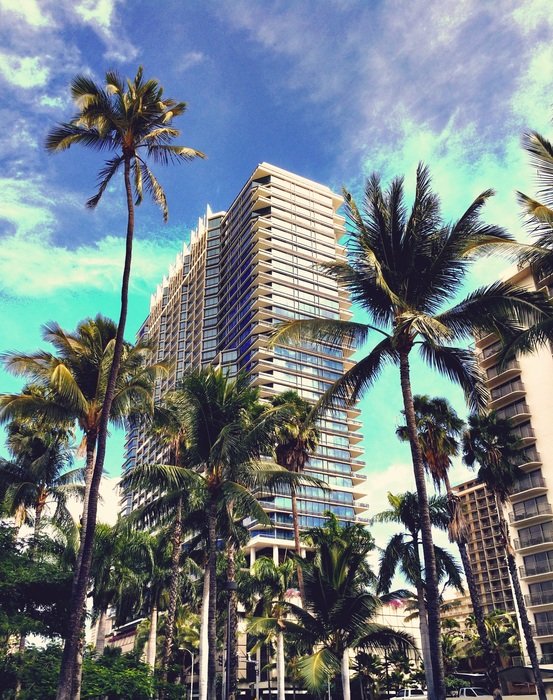 luxury waikiki hotel behind palm trees, usa, hawaii, honolulu, oahu