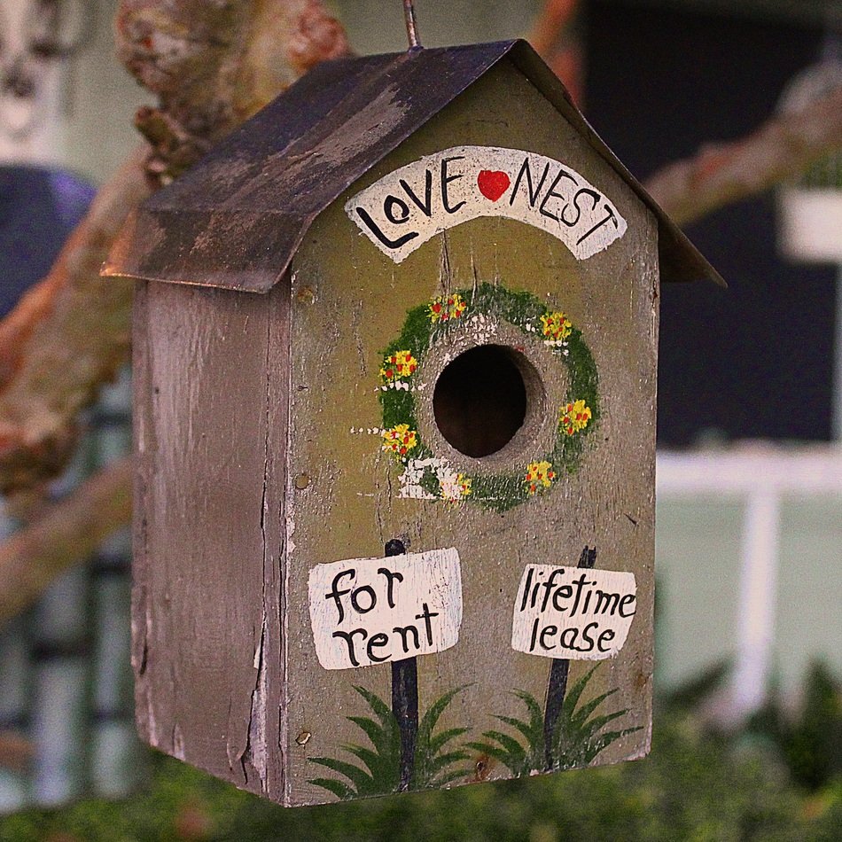 vintage painted birdhouse on branch close-up on blurred background