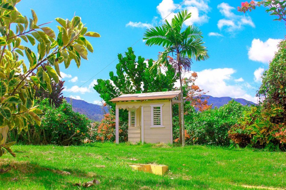 beautiful colored day view nature landscape small house trees