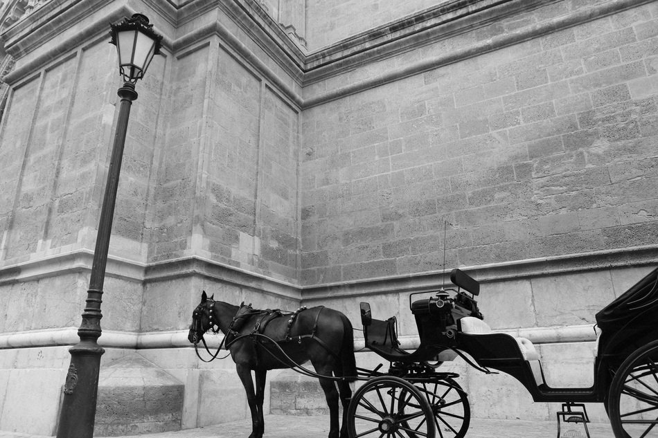 horse carriage in front of city building