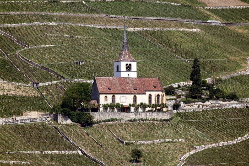 church among vineyards, switzerland, ligerz