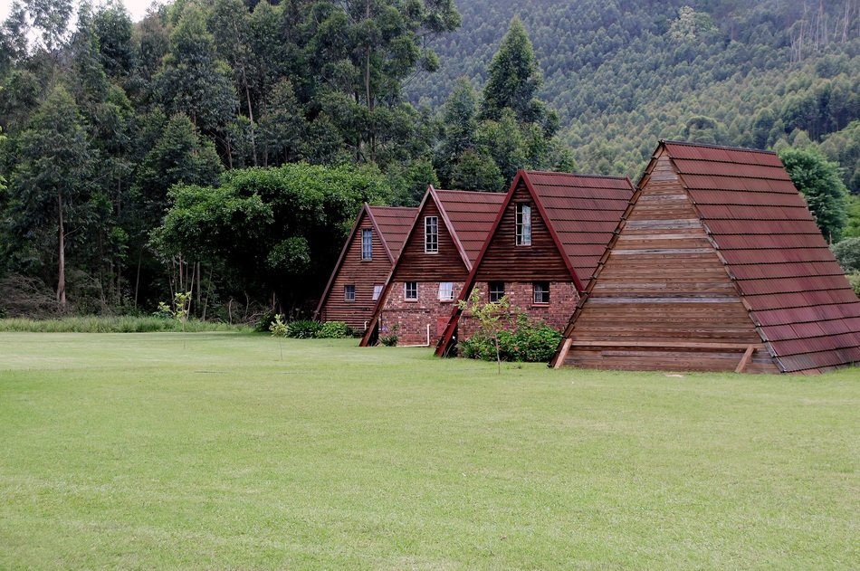 wooden buildings on lawn at forest, south africa