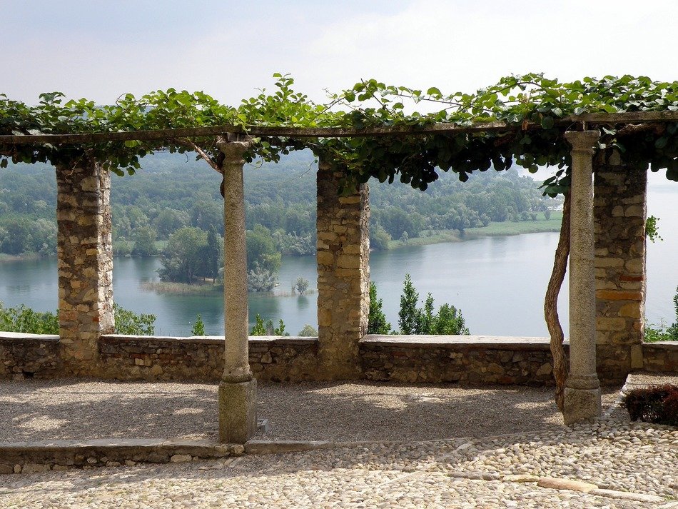 vines on anciet stone columns above water