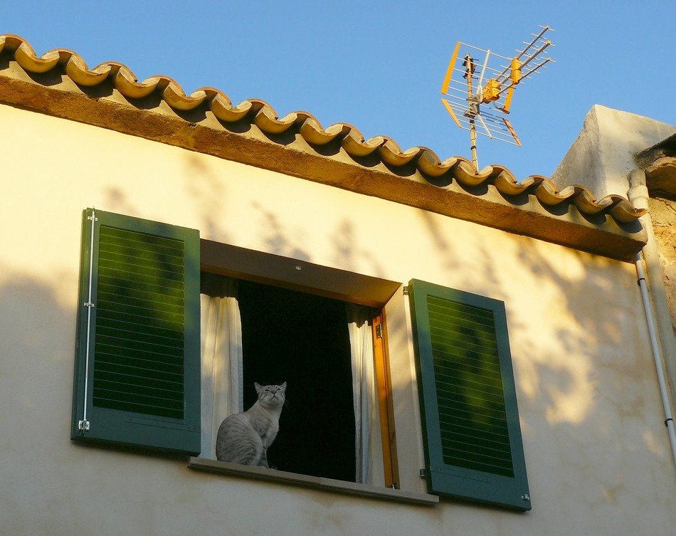 cat sits on window sill, spain, mallorca