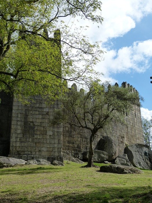 spring trees at towers of principal medieval castle, portugal, guimarÃ£es