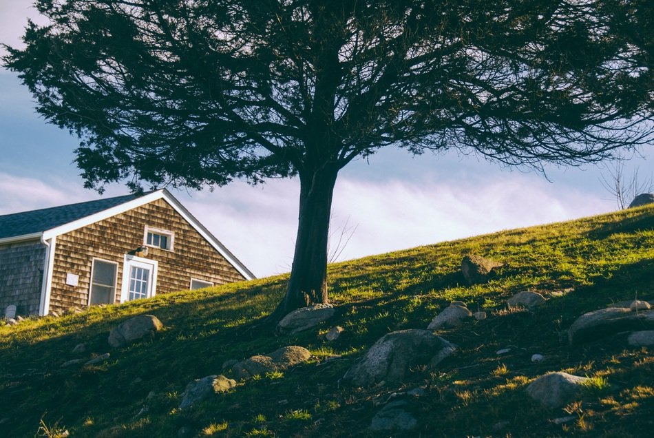 village house beneath tree on hill