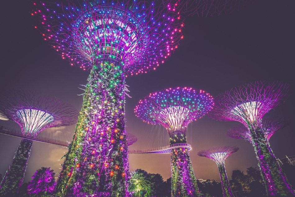 colorful illuminated artificial trees, bottom view