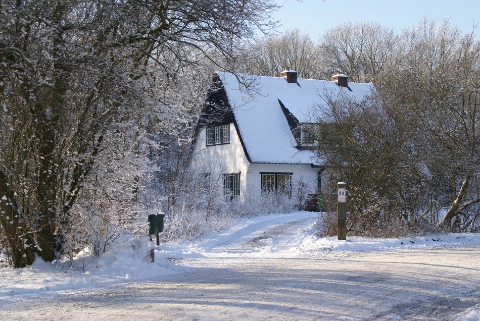 forester house at winter, landscape