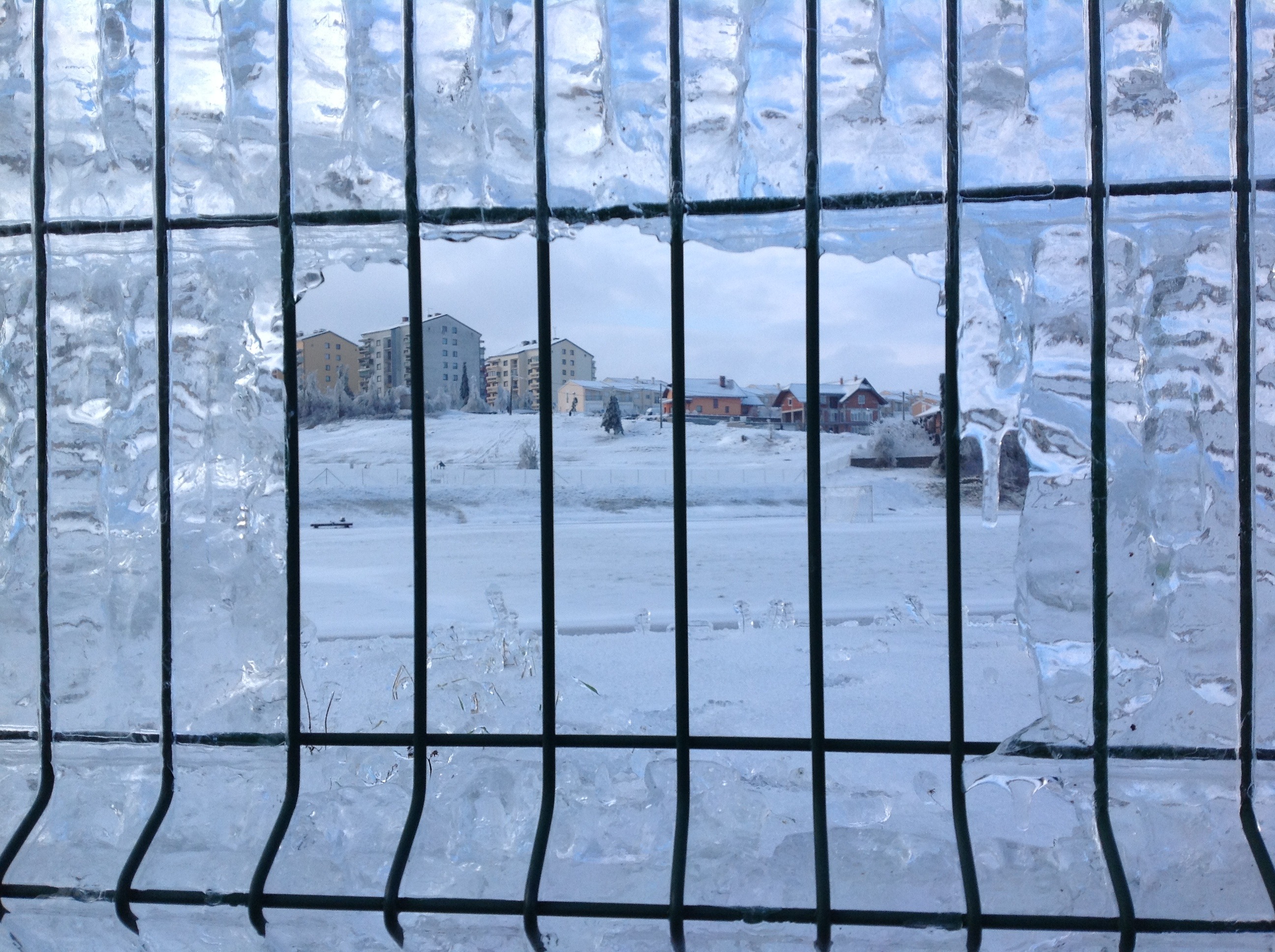 View of buildings on snow through frozen grate free image download