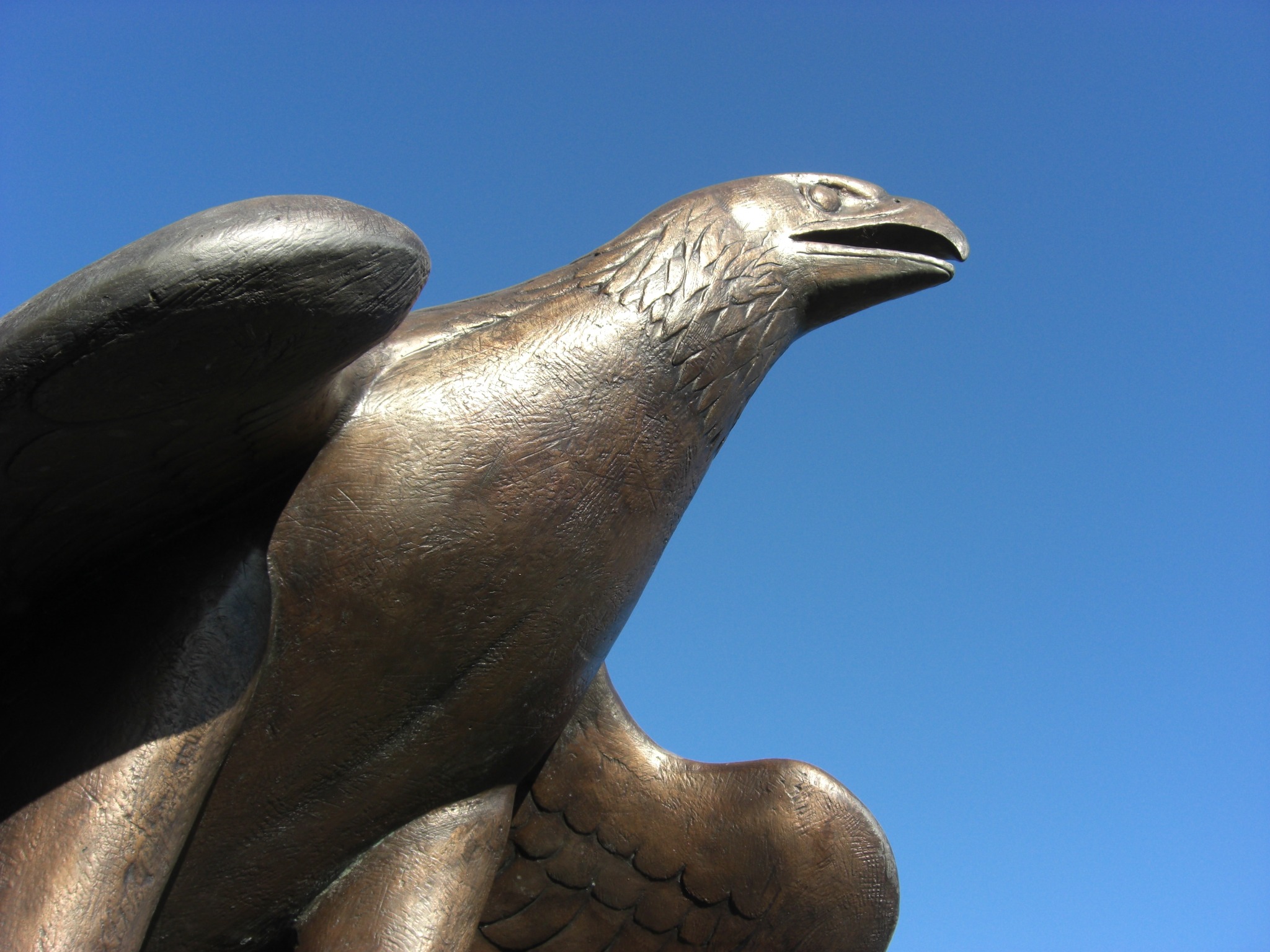 Adler, bronze statue at blue sky free image download