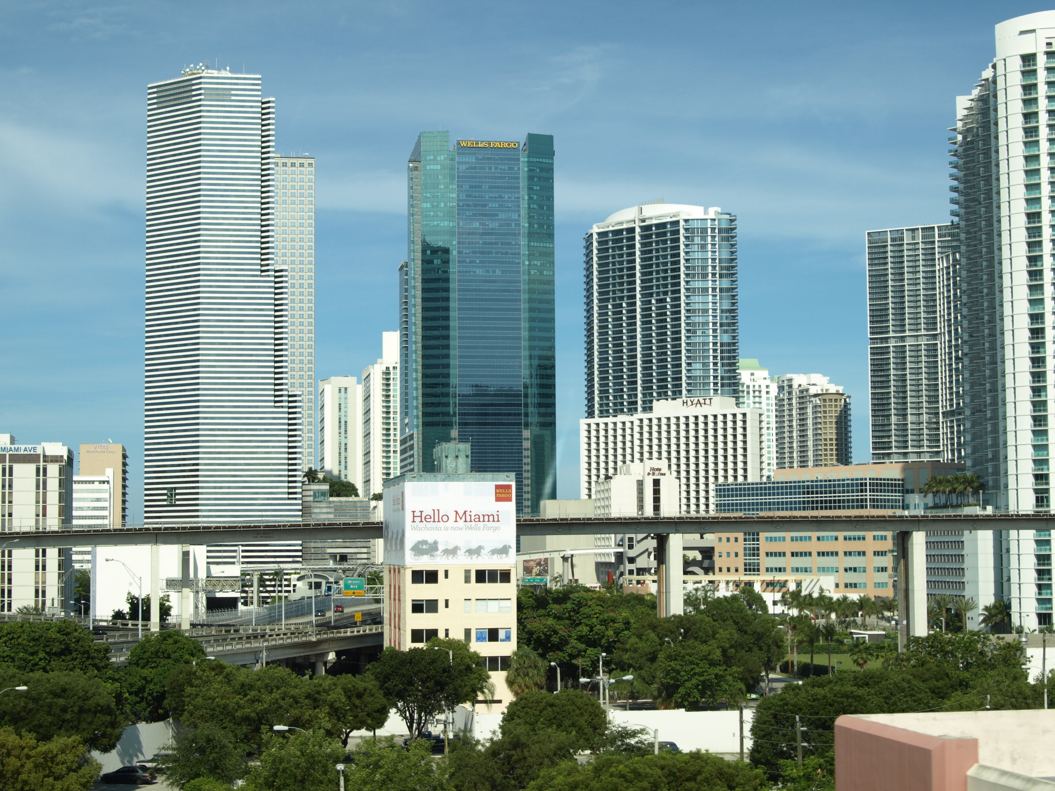 Damas De Compañia En Miami Florida