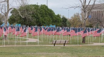 lot of american flags on lawn in park, usa, oklahoma city