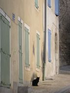 black cat sits on street at old bilding, france, provence