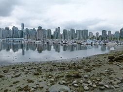 city skyline with boats at harbour, canada, british columbia, vancouver