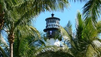 lantern of old lighthouse among palm trees at sky, usa