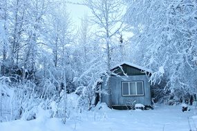 cabin in snowy winter forest