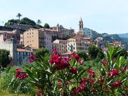 old town roofs of ventimiglia