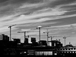 black and white photo of construction cranes in Amsterdam, Holland
