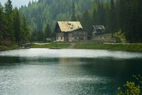 village houses at spruce forest on lake coast among the green plants, austria