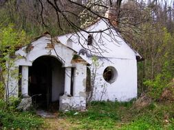 weathered abandoned building among trees