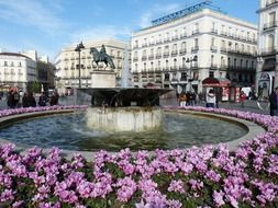 blooming plants at fontane on plaza del sol, spain, madrid