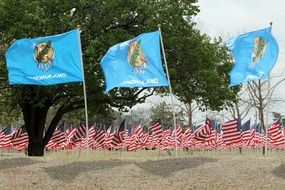 lot of flags in park, usa, oklahoma, oklahoma city