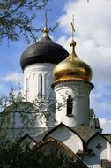 black and golden domes of orthodox cathedral at sky, russia