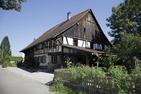 Rural farmhouse in summer day