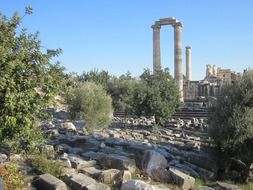 ruins of ancient apollo temple, turkey, didim