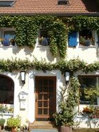 flowers and vines on old white facade