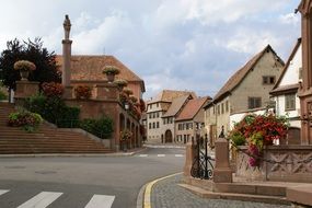 potted flowers at old buildings on street, france, alsace