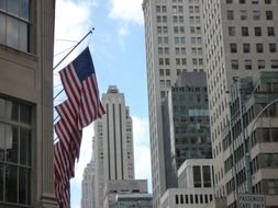 cityscape view of the buildings with the flags, New York