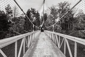 suspension bridge with cage