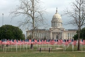 lot of flags in park at capitol, children abuse problem, usa, oklahoma, oklahoma city