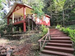 red stairs to building at forest, india, dandeli