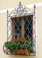 wrought iron protective grate on window