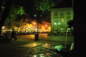 fountain in the new town at night, poland, warsaw