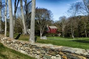 forest house in Connecticut