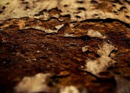 rusty metal surface