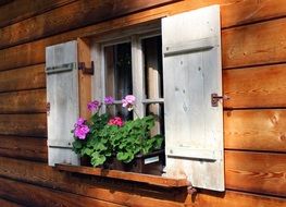 Windows with the shutters
