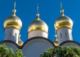 view of the golden domes of a church, russia, Moscow