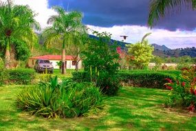 beautiful green landscape