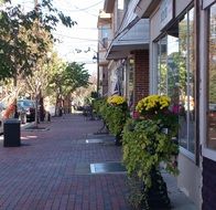 landscape of brick sidewalk in america village, usa