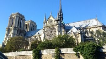 notre dame cathedral at summer, france, paris