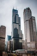 Willis Tower in city, usa, illinois, chicago