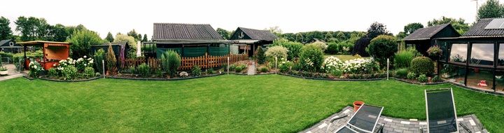 sheds among blooming plants in garden