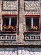 blooming red geranium in flower boxes at windows on old facade, poland, katowice