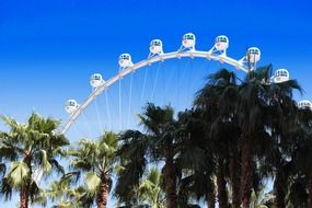 las vegas ferris wheel palm trees blue sky view