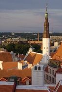 Tallinn building bird's-eye view